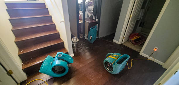 Best Flood restoration services  in Rosharon, TX
