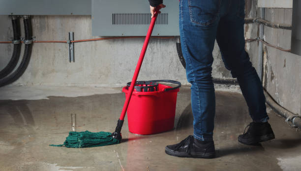 Best Mold removal after water damage  in Rosharon, TX