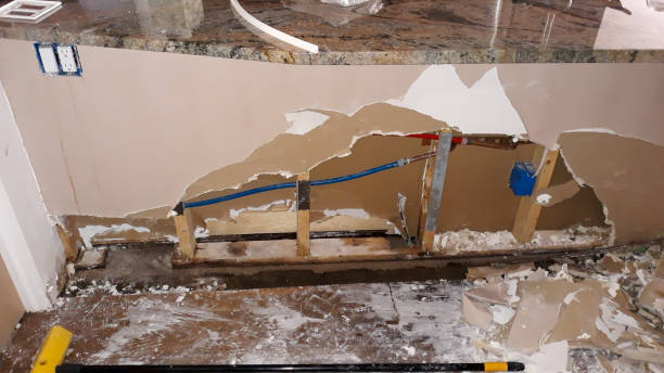 Best Carpet water damage restoration  in Rosharon, TX