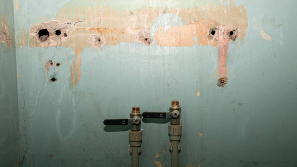 Best Flooded house restoration  in Rosharon, TX