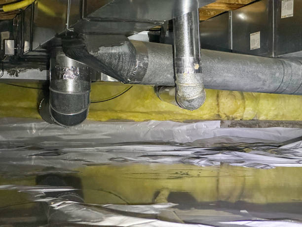 Best Commercial water damage restoration  in Rosharon, TX