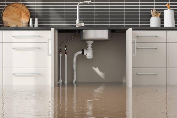 Best Basement water damage restoration  in Rosharon, TX
