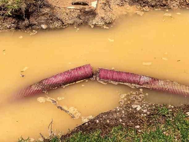 Best Basement water damage restoration  in Rosharon, TX