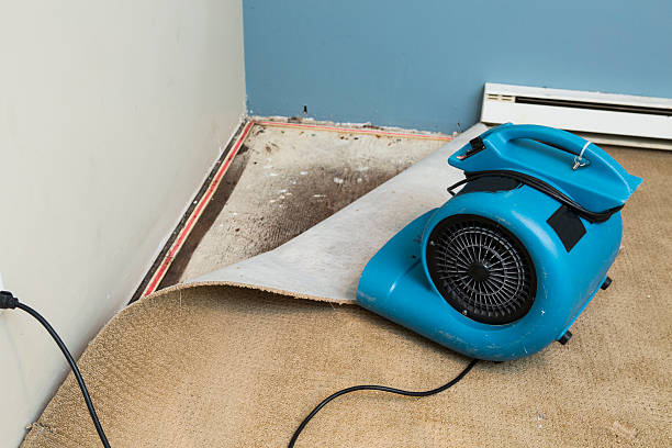 Best Ceiling water damage repair  in Rosharon, TX